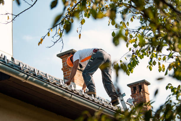 Best Commercial Roofing Services  in Lake Isabella, MI