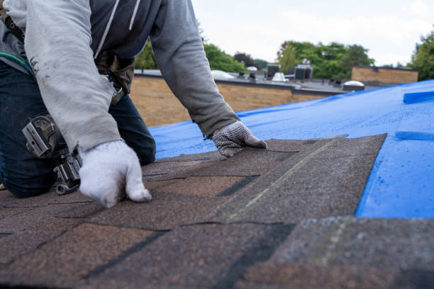 Best Roof Repair Specialists  in Lake Isabella, MI