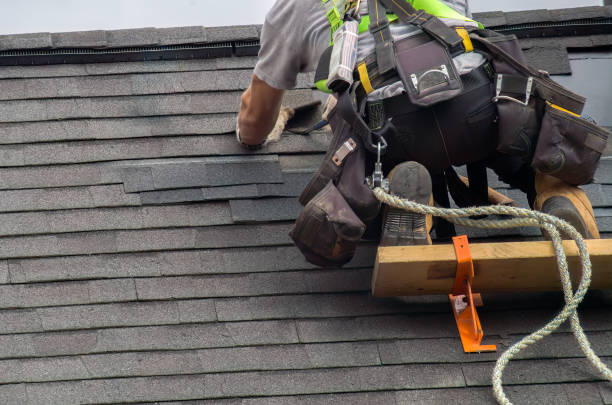 Best Metal Roofing Contractor  in Lake Isabella, MI