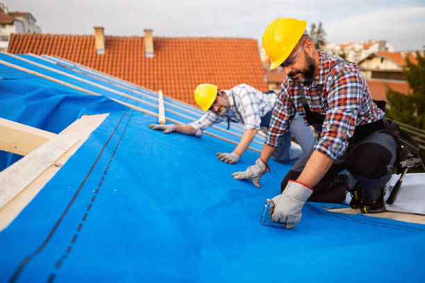 Best Sealant for Roof  in Lake Isabella, MI