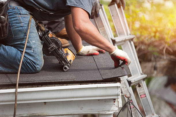 Best Roof Gutter Cleaning  in Lake Isabella, MI